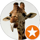 Patrizio Allegra profile picture